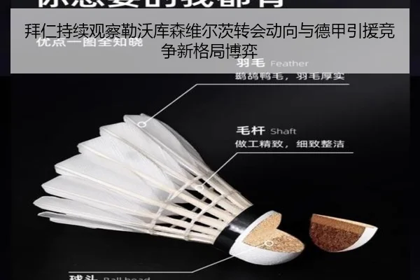 拜仁持续观察勒沃库森维尔茨转会动向与德甲引援竞争新格局博弈