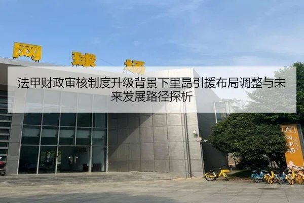 法甲财政审核制度升级背景下里昂引援布局调整与未来发展路径探析